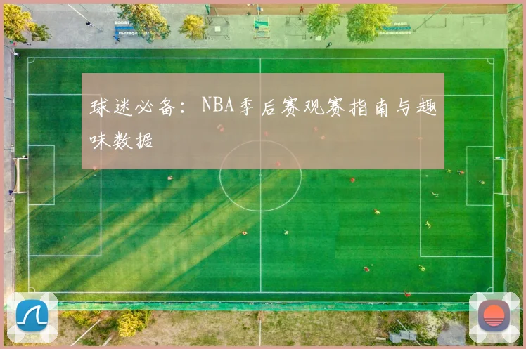 球迷必备:NBA季后赛观赛指南与趣味数据
