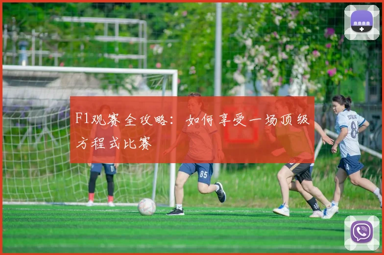 F1观赛全攻略：如何享受一场顶级方程式比赛